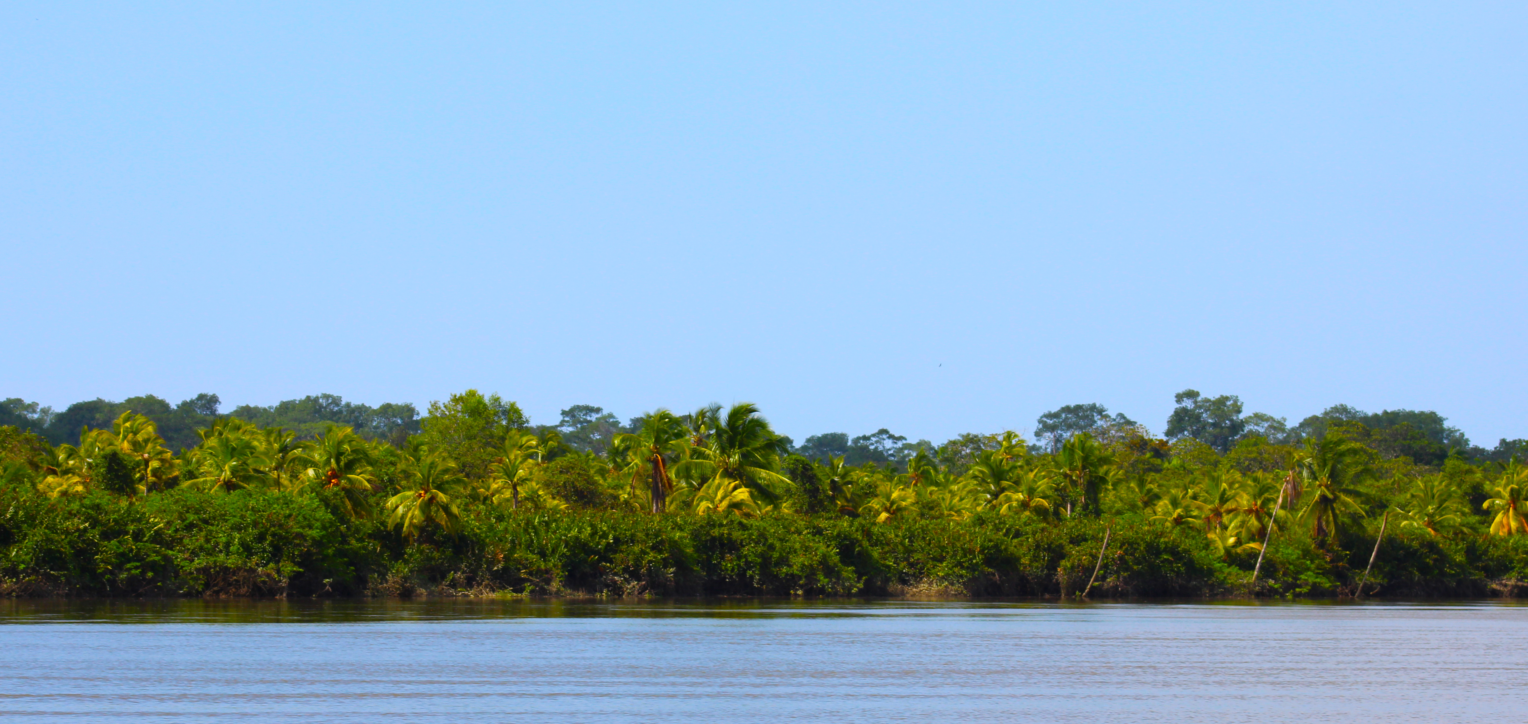 Banner 3
